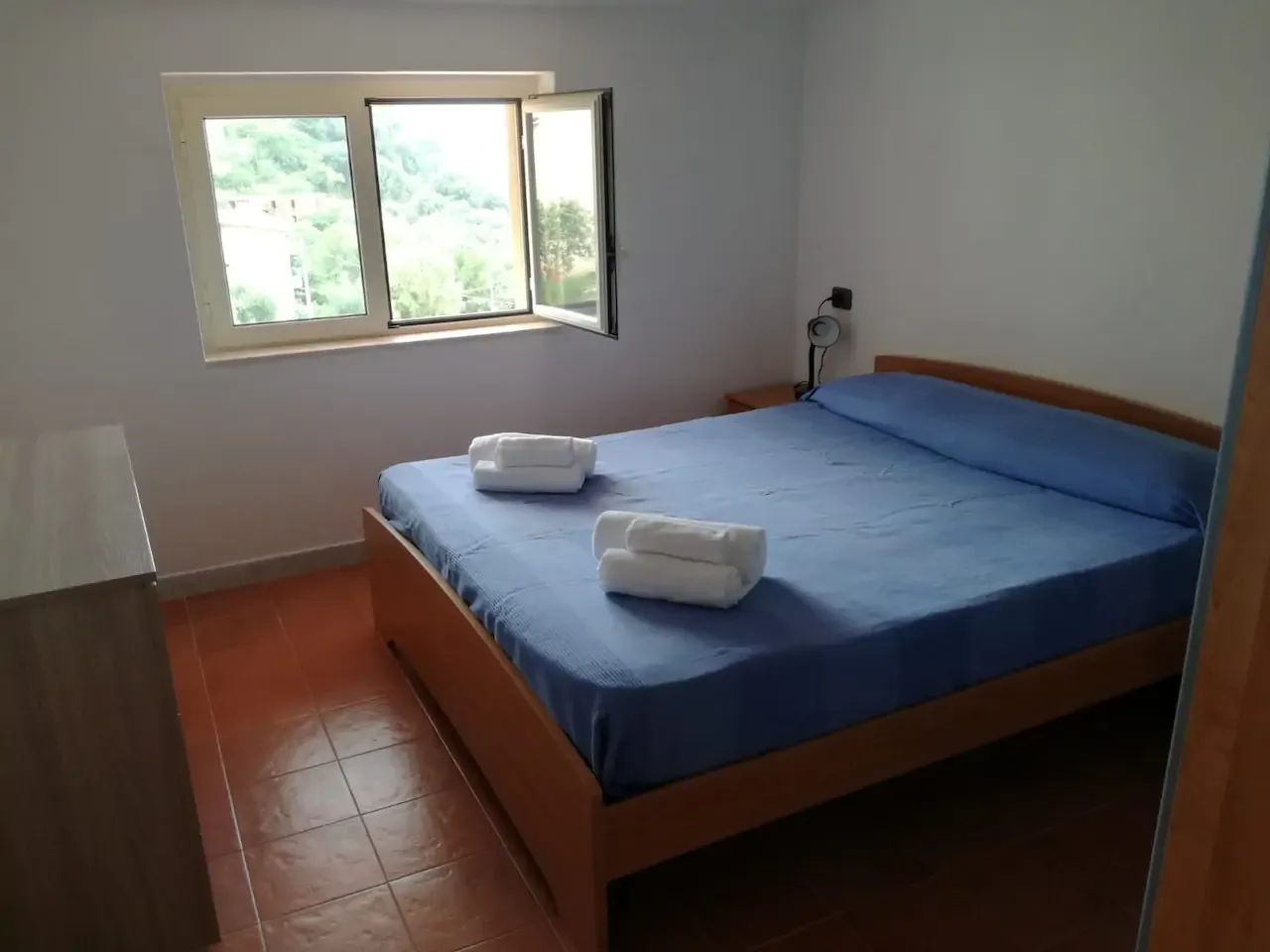 camera 1
